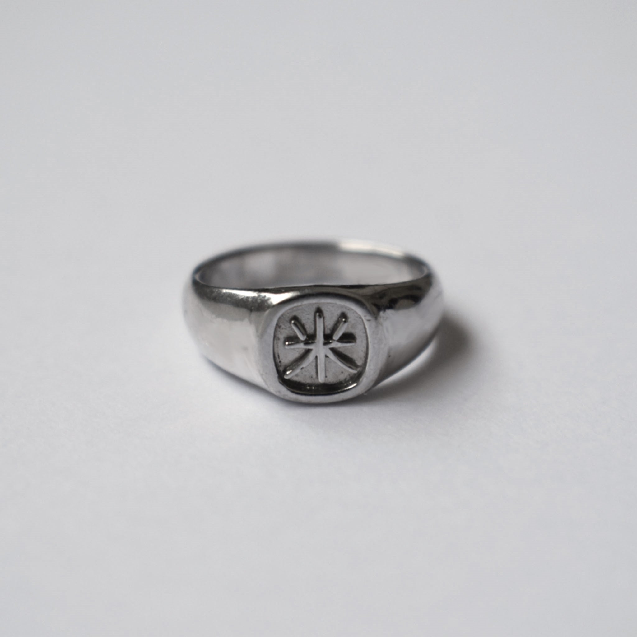 Oval Signet Ring (Medium)